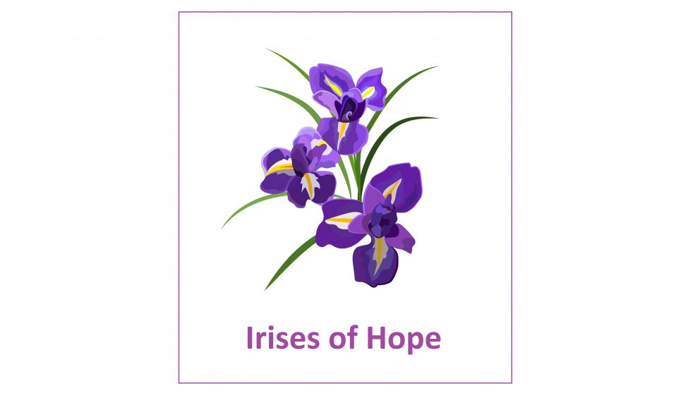 Purple Iris flowers