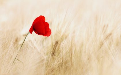 Remembrance 2021