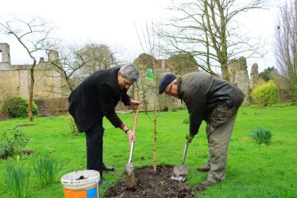The Diocese of Winchester to plant thousands of trees, starting in Lent
