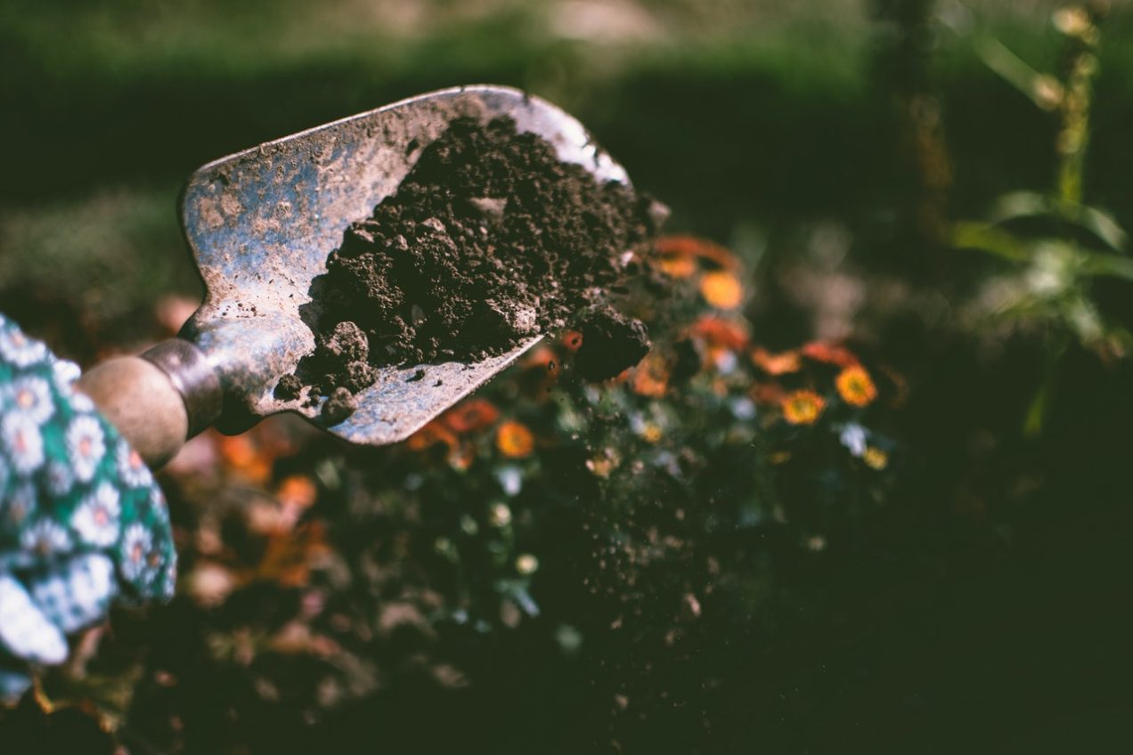 gardening trowel with soil
