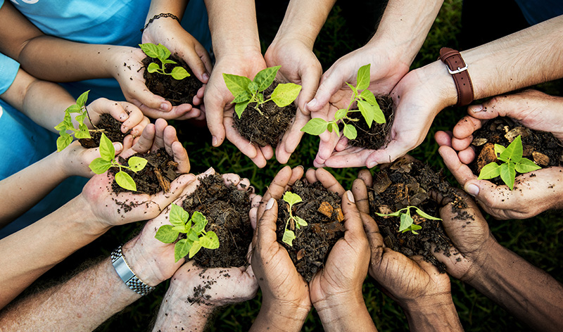 Creation Care – the Diocese environmental programme